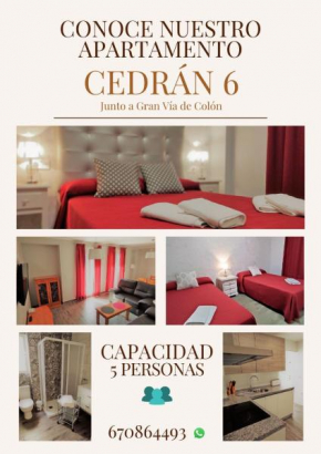 CEDRAN 6